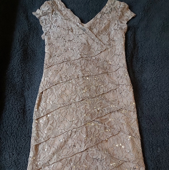 EUC Lace and Sequin Dress - Picture 2 of 9